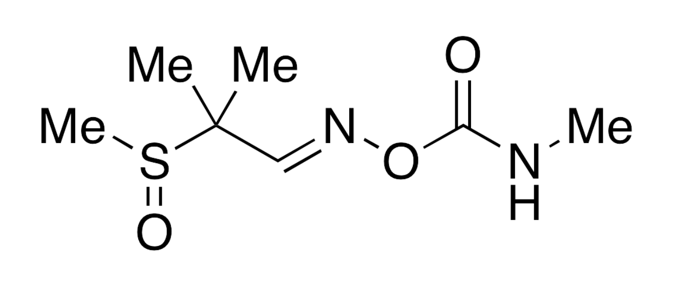 Aldicarb-sulfoxide