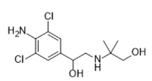 Hydroxymethyl clenbuterol