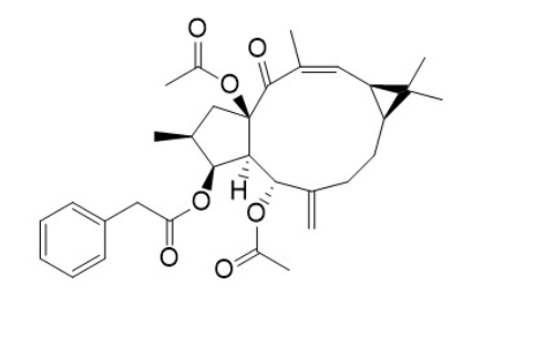 Deoxy euphorbia factor L1；5,15-Diacetyl-3-phenylacetyl-lathyrol