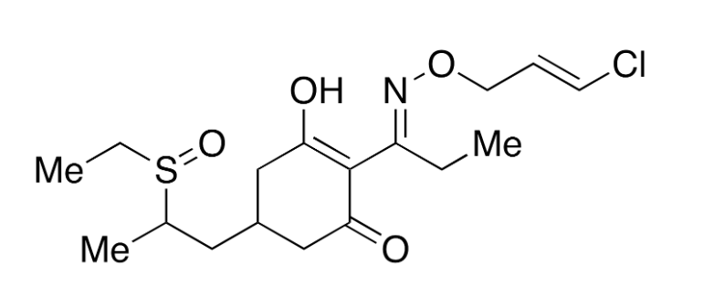 Clethodim Sulfoxide