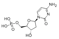 2'-Deoxycytidine 5'-monophosphate