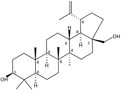 Betulin Solution in Acetone, 1000μg/mL
