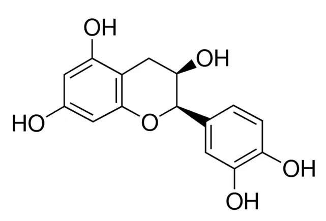 (-)-Epicatechin Solution in Methanol, 100μg/mL