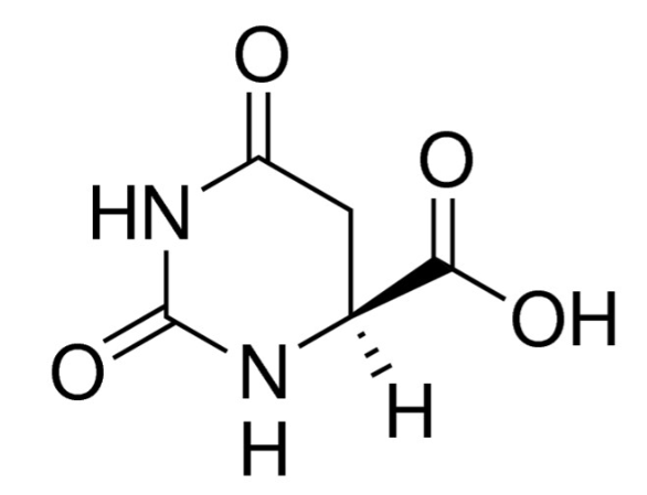L-Dihydroorotic acid