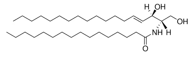 C16 Ceramide