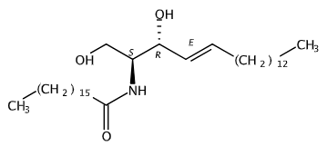 C17 Ceramide