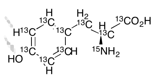 L-Tyrosine-13C9, 15N