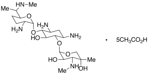 Gentamicin C1 pentaacetate salt