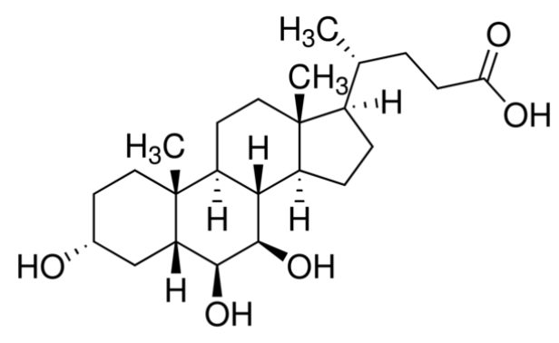 β-Muricholic acid
