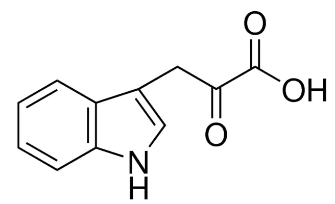 Indole-3-pyruvic Acid