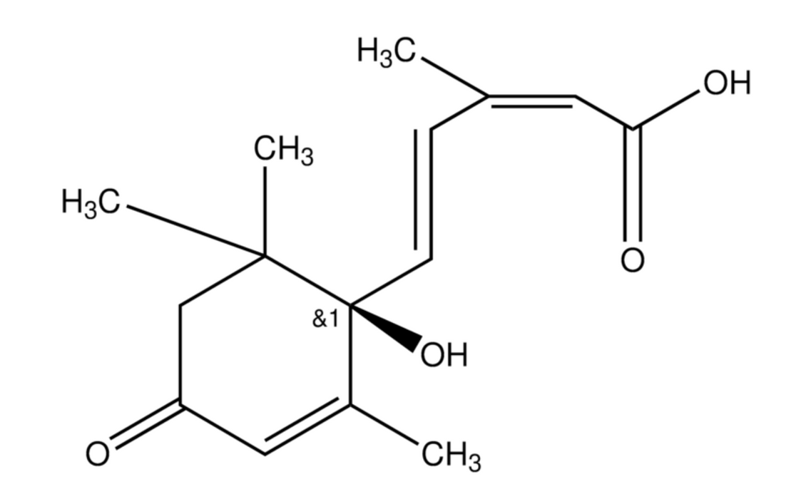 (-)-(cis,trans)-Abscisic acid