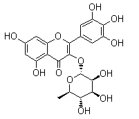 Myricitrin