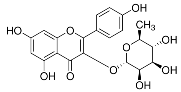 Kaempferol 3-O-α-L-rhamnoside
