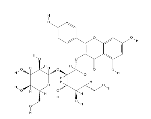 Kaempferol 3-O-Beta-sophoroside