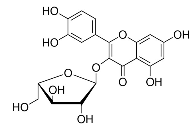 Avicularin