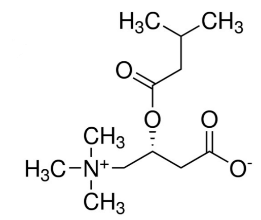 Isovaleryl-L-carnitine