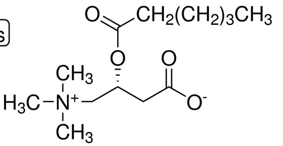 Hexanoyl-L-carnitine (inner salt)