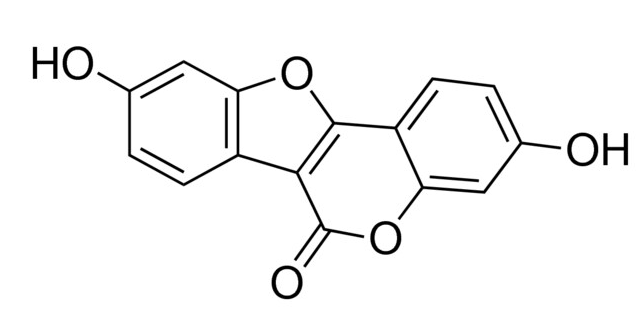 Coumestrol