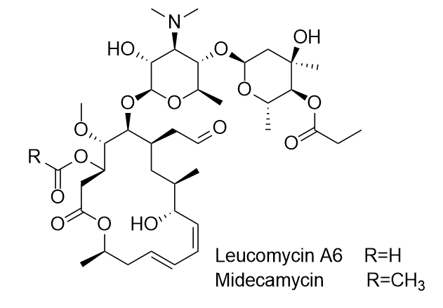 Meleumycin