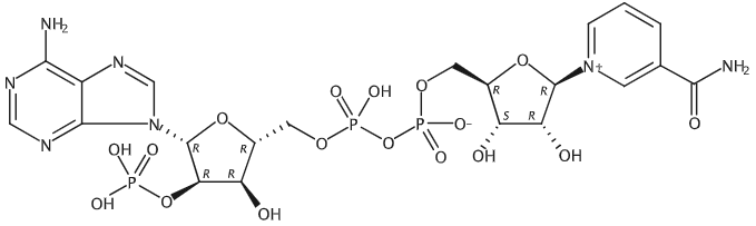 Nicotinamide adenine dinucleotide phosphate