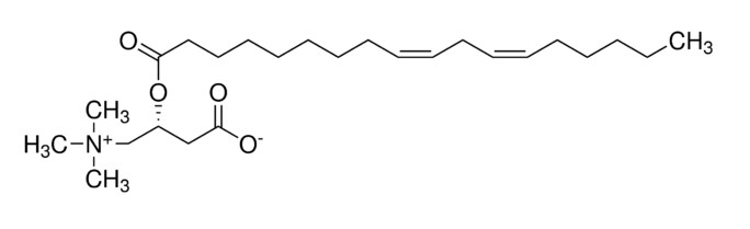 cis-9,12-Octadecadienoyl-L-carnitine