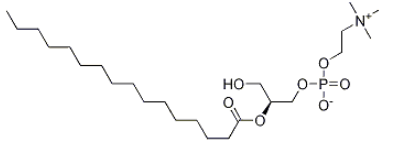 2-Palmitoyl-sn-glycero-3-phosphocholine