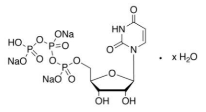 Uridine 5'-triphosphate trisodium salt hydrate