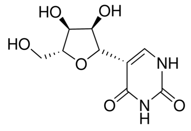 Pseudouridine