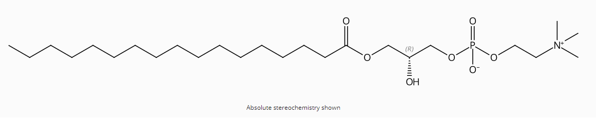 1-Heptadecanoyl-2-hydroxy-sn-glycero-3-phosphocholine