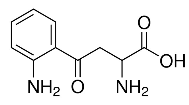 Kynurenine