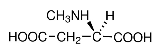 N-Methyl-D-aspartic acid