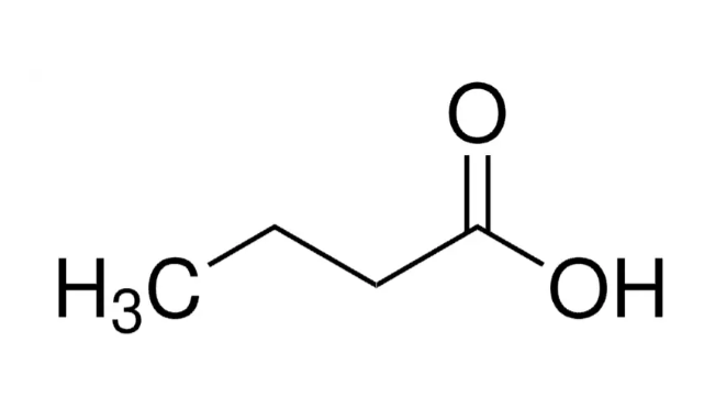 Butyric acid Solution in Water, 1000μg/mL