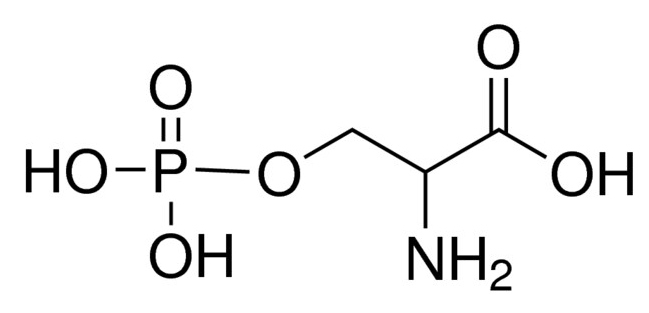 DL-O-Phosphorylserine