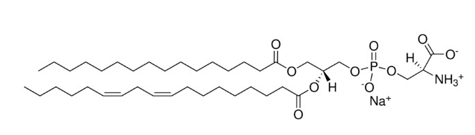 L-α-Phosphatidylserine (soy, 99%) (sodium salt)