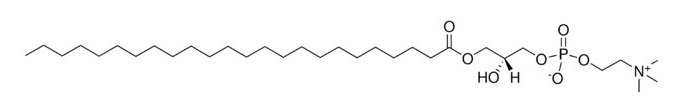 Lysophosphatidylcholine 24:0