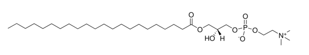 Lysophosphatidylcholine C22:0