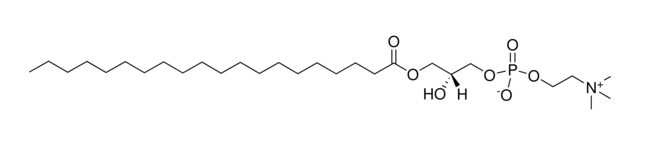 Lysophosphatidylcholine C20:0