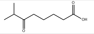 7-Methyl-6-oxooctanoic acid