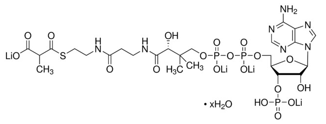 (S)-Methylmalonyl-CoA lithium salt hydrate