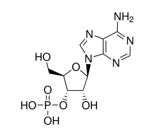 3'-Adenylic acid