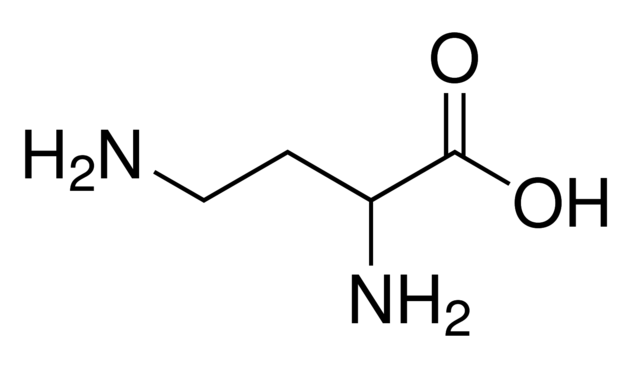 2,4-Diaminobutanoic acid