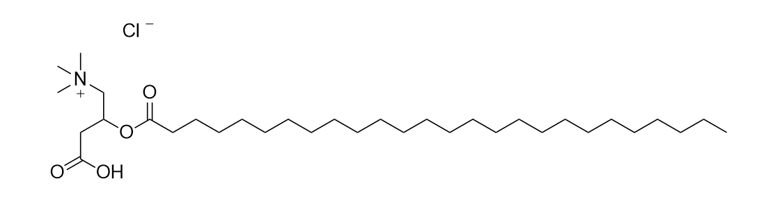 Hexacosanoyl-L-carnitine chloride Solution in Ethanol, 100μg/mL