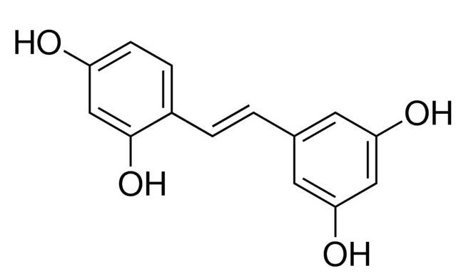 Oxyresveratrol