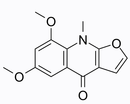 Isomaculosidine