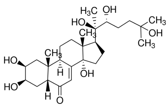 20-Hydroxyecdysone