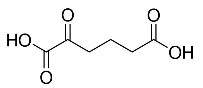 2-Oxoadipic acid