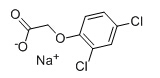 2,4-D sodium salt