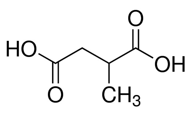 Methylsuccinic acid