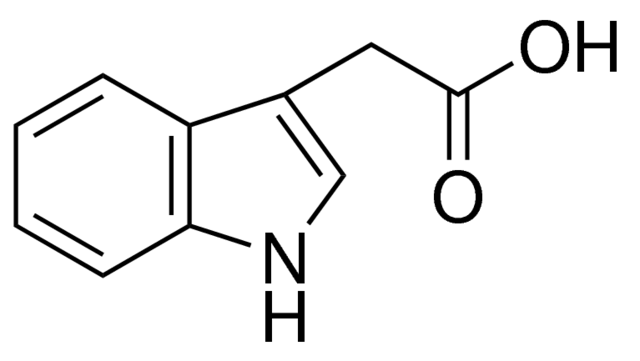 3-Indolylacetic acid Solution in Acetonitrile, 1000μg/mL