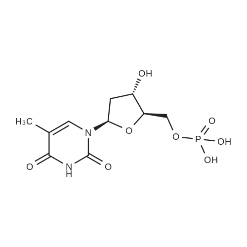 Thymidine 5'-monophosphate